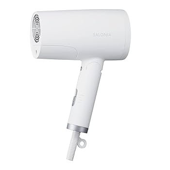 Amazon | SALONIA サロニア トリートメントミストドライヤー 大